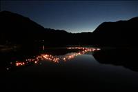 Bohinjska noč