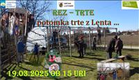Prikaz reza trte - potomka najstarejše trte z Lenta ... REZ TRTE - 2025