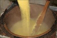 Tradicionalni praznik polente v Ozeljanu - kuhanje polente in raznih prilog, tekmovanje v kuhanju polente, igre med društvi, zabava z ansamblom Primorski fantje. PRAZNIK POLENTE