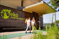 Žalec, strokovna ekskurzija turistične društvene organizacije - EKOMUZEJ HMELJARSTVA IN PIVOVARSTVA SLOVENIJE IN PRESTOLNICA HMELJARSTVA IN PIVOVARSTVA