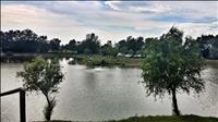 29. Srečanje obvodnih krajev Slovenije, Markovci - 2. izlet: ZBIRKA STARODOBNIH KMETIJSKIH TRAKTORJEV IN RIBNIK PRVENCI