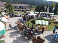 Mihaelov sejem 2019