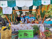 11. ZADVORSKA GOLAŽIJADA