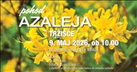 Tradicionalni pohod AZALEJA VRHEK v Tržišču