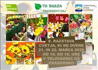 8.MEDNARODNA RAZSTAVA CVETJA, KI NE OVENE