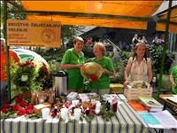 zeliščna tržnica in kulinarika 2020