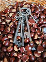 Dan odprtih vrat Vukove domačije v Žetalah