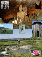 Pohod po E6 iz Grosuplja do Županove jame